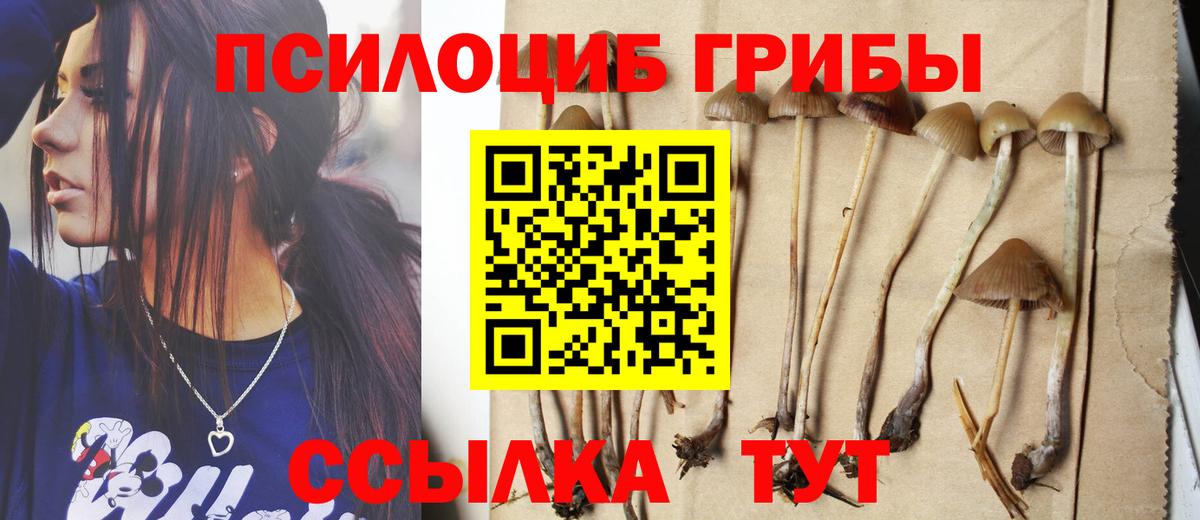 Людиново  Псилоцибиновые грибы мицелий  где купить наркоту  Вход с VPN  Псилоцибиновые грибы Cubensis 